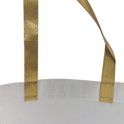 OEM 50 센티미터 라미네이트된 38x12x30cm Eco 비 포대