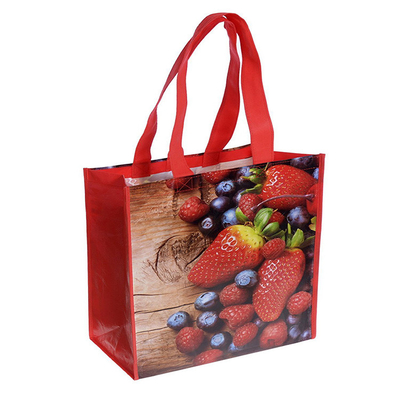 ODM 40x32x12cm 25 킬로그램 80gsm 라미네이트된 우븐 폴리프로필렌제 백