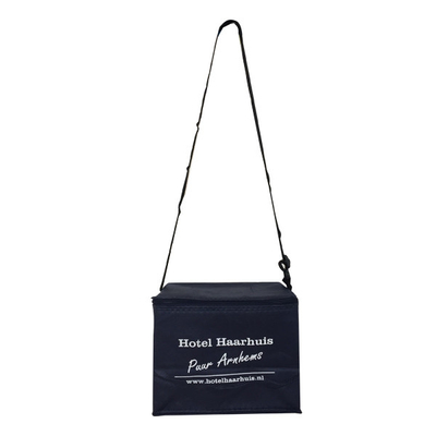 비 우븐 20x15x18cm CMKY OEM 80gsm 절연 냉각기 가방