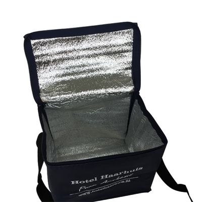 비 우븐 20x15x18cm CMKY OEM 80gsm 절연 냉각기 가방