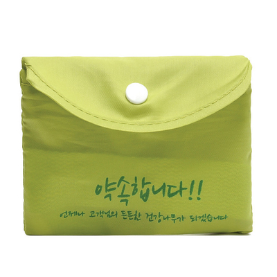 쇼핑 가방을 폴딩시키는 재사용할 수 있는 운반 190T 11x9cm 나일론