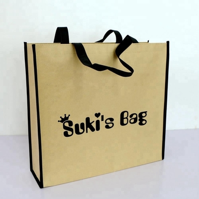 80gsm 150g 42x38x12cm 비 우븐 포장 봉지를 쇼핑하기
